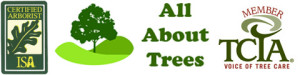 ISA certified arborist TCIA member